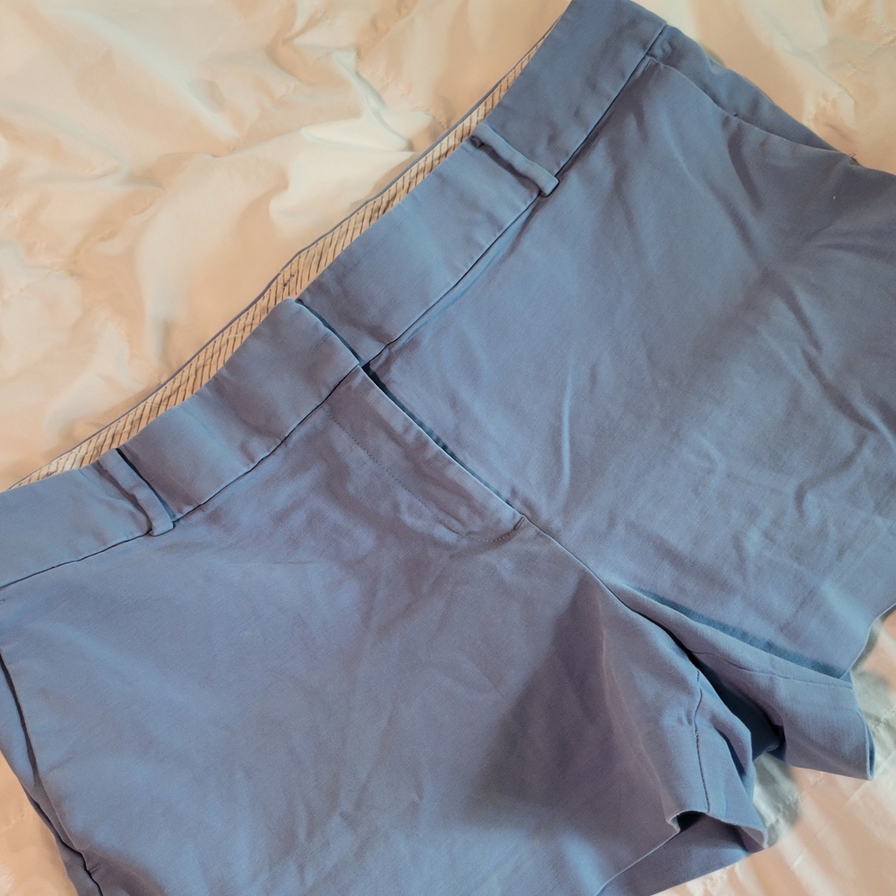 Loft Blue Women's Shorts